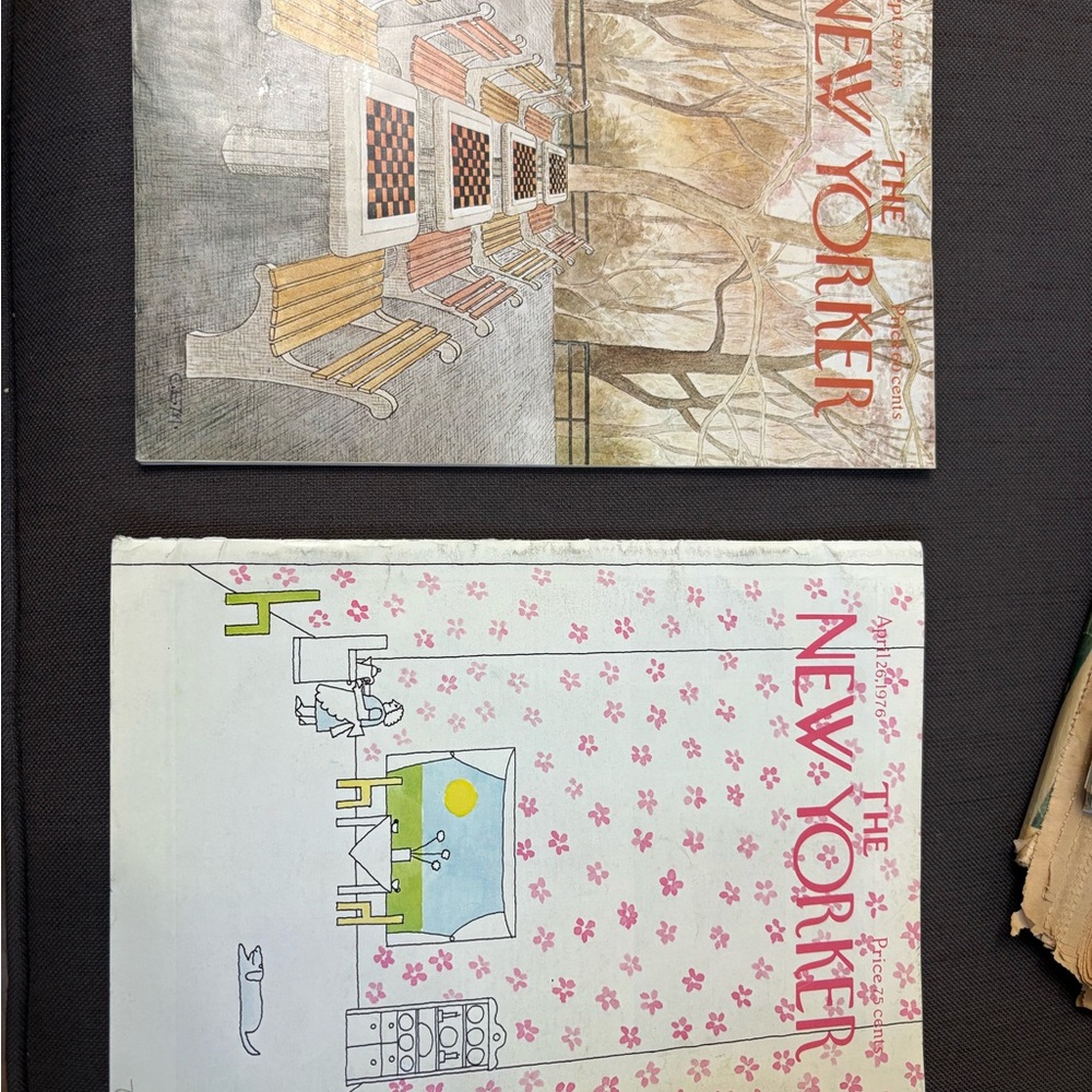 The New Yorker Magazine Set - Artistic Covers
